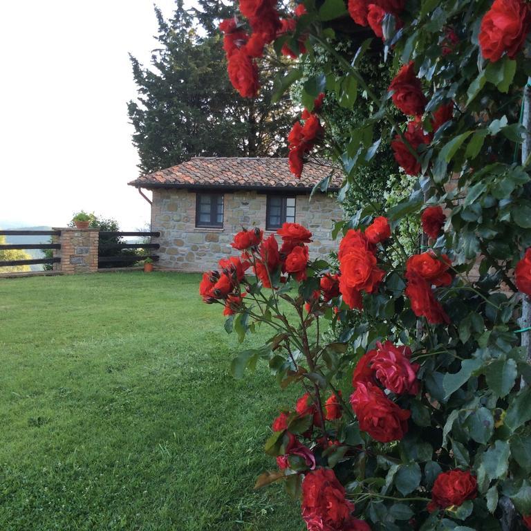 Agriturismo La Bicocca - Apt. "Il Leccio" Castel Rigone Zimmer foto